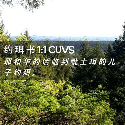Picture 02 - 约 珥 书 1:1 CUVS - 耶 和 华 的 话 临 到 毗 土 珥 的 儿 - Bible Verse Picture