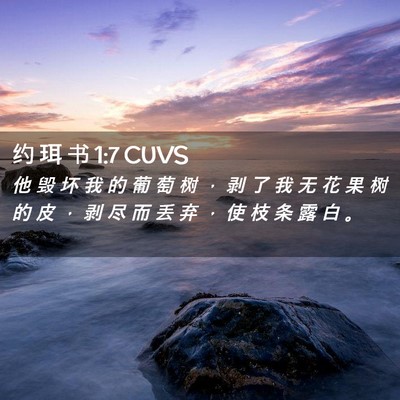 Picture 02 - 约 珥 书 1:7 CUVS - 他 毁 坏 我 的 葡 萄 树 ， 剥 了 我 - Bible Verse Picture