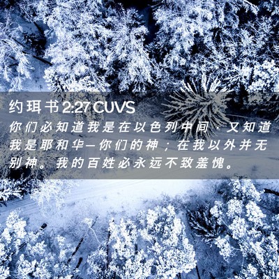 Picture 02 - 约 珥 书 2:27 CUVS - 你 们 必 知 道 我 是 在 以 色 列 中 - Bible Verse Picture