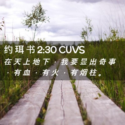 Picture 02 - 约 珥 书 2:30 CUVS - 在 天 上 地 下 ， 我 要 显 出 奇 事 - Bible Verse Picture