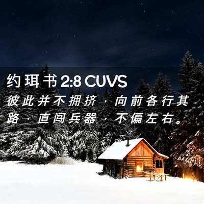Picture 02 - 约 珥 书 2:8 CUVS - 彼 此 并 不 拥 挤 ， 向 前 各 行 其 - Bible Verse Picture