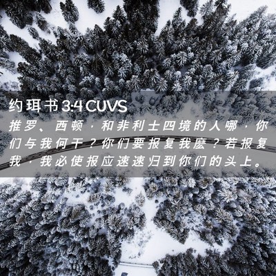 Picture 02 - 约 珥 书 3:4 CUVS - 推 罗 、 西 顿 ， 和 非 利 士 四 境 - Bible Verse Picture