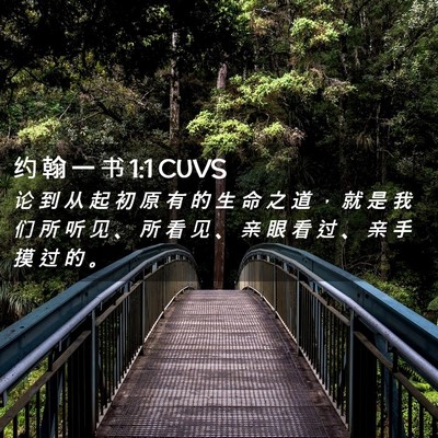 Picture 02 - 约 翰 一 书 1:1 CUVS - 论 到 从 起 初 原 有 的 生 命 之 道 - Bible Verse Picture