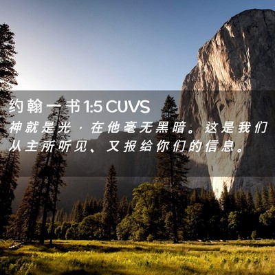 Picture 02 - 约 翰 一 书 1:5 CUVS - 神 就 是 光 ， 在 他 毫 无 黑 暗 。 - Bible Verse Picture
