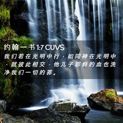 Picture 02 - 约 翰 一 书 1:7 CUVS - 我 们 若 在 光 明 中 行 ， 如 同 神 - Bible Verse Picture