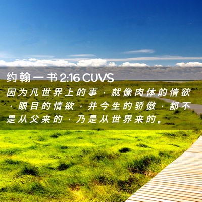 Picture 02 - 约 翰 一 书 2:16 CUVS - 因 为 凡 世 界 上 的 事 ， 就 像 肉 - Bible Verse Picture