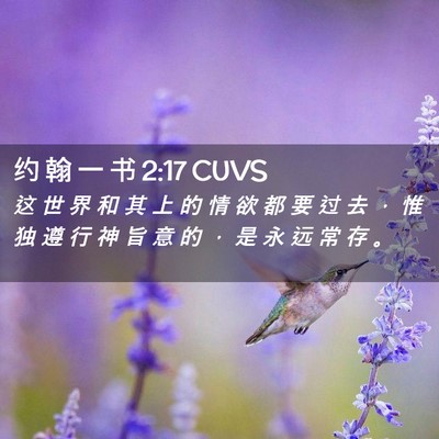 Picture 02 - 约 翰 一 书 2:17 CUVS - 这 世 界 和 其 上 的 情 欲 都 要 过 - Bible Verse Picture