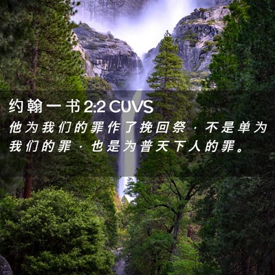 Picture 02 - 约 翰 一 书 2:2 CUVS - 他 为 我 们 的 罪 作 了 挽 回 祭 ， - Bible Verse Picture