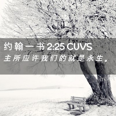 Picture 02 - 约 翰 一 书 2:25 CUVS - 主 所 应 许 我 们 的 就 是 永 生 - Bible Verse Picture
