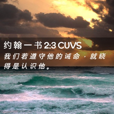 Picture 02 - 约 翰 一 书 2:3 CUVS - 我 们 若 遵 守 他 的 诫 命 ， 就 晓 - Bible Verse Picture