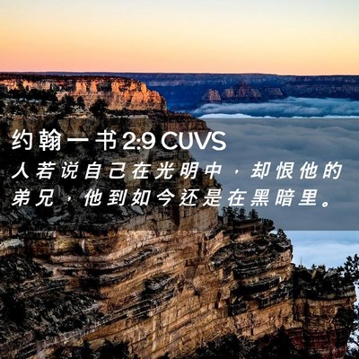 Picture 02 - 约 翰 一 书 2:9 CUVS - 人 若 说 自 己 在 光 明 中 ， 却 恨 - Bible Verse Picture
