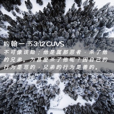 Picture 02 - 约 翰 一 书 3:12 CUVS - 不 可 像 该 隐 ； 他 是 属 那 恶 者 - Bible Verse Picture