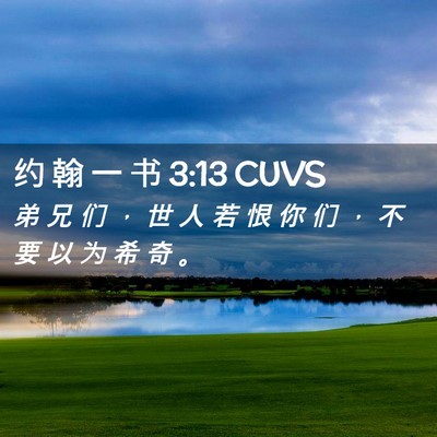 Picture 02 - 约 翰 一 书 3:13 CUVS - 弟 兄 们 ， 世 人 若 恨 你 们 ， 不 - Bible Verse Picture