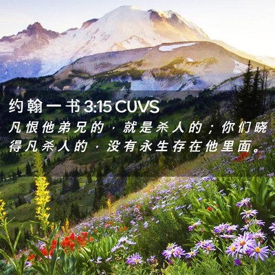 Picture 02 - 约 翰 一 书 3:15 CUVS - 凡 恨 他 弟 兄 的 ， 就 是 杀 人 的 - Bible Verse Picture