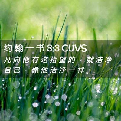 Picture 02 - 约 翰 一 书 3:3 CUVS - 凡 向 他 有 这 指 望 的 ， 就 洁 净 - Bible Verse Picture