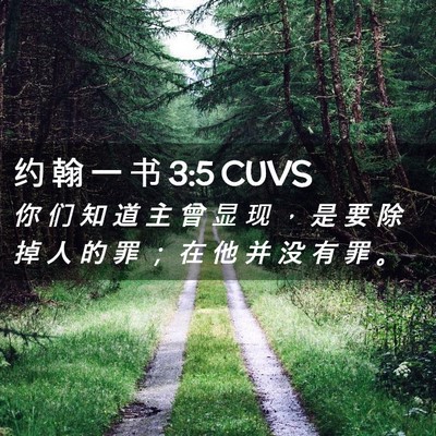 Picture 02 - 约 翰 一 书 3:5 CUVS - 你 们 知 道 主 曾 显 现 ， 是 要 除 - Bible Verse Picture