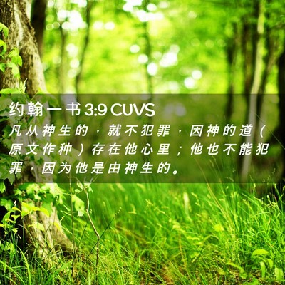 Picture 02 - 约 翰 一 书 3:9 CUVS - 凡 从 神 生 的 ， 就 不 犯 罪 ， 因 - Bible Verse Picture