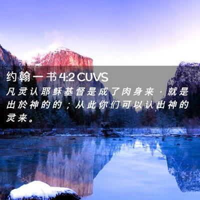 Picture 02 - 约 翰 一 书 4:2 CUVS - 凡 灵 认 耶 稣 基 督 是 成 了 肉 身 - Bible Verse Picture