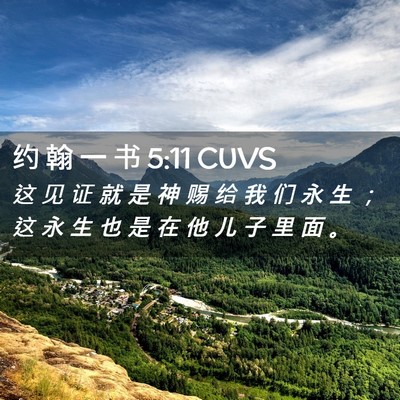 Picture 02 - 约 翰 一 书 5:11 CUVS - 这 见 证 就 是 神 赐 给 我 们 永 生 - Bible Verse Picture