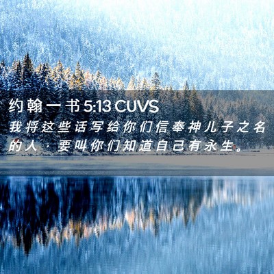Picture 02 - 约 翰 一 书 5:13 CUVS - 我 将 这 些 话 写 给 你 们 信 奉 神 - Bible Verse Picture