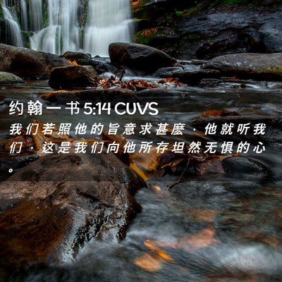 Picture 02 - 约 翰 一 书 5:14 CUVS - 我 们 若 照 他 的 旨 意 求 甚 麽 ， - Bible Verse Picture