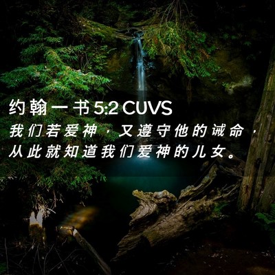 Picture 02 - 约 翰 一 书 5:2 CUVS - 我 们 若 爱 神 ， 又 遵 守 他 的 诫 - Bible Verse Picture