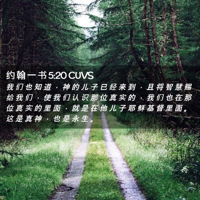 Picture 02 - 约 翰 一 书 5:20 CUVS - 我 们 也 知 道 ， 神 的 儿 子 已 经 - Bible Verse Picture