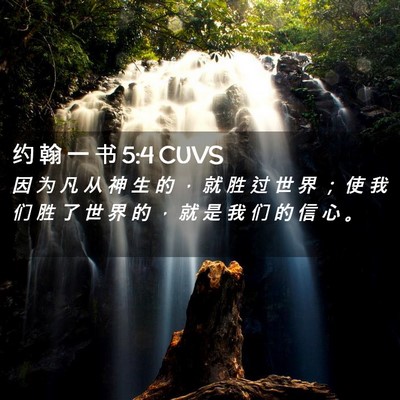 Picture 02 - 约 翰 一 书 5:4 CUVS - 因 为 凡 从 神 生 的 ， 就 胜 过 世 - Bible Verse Picture