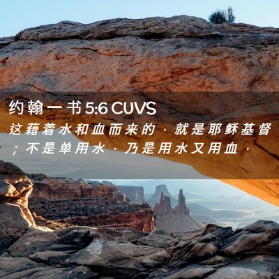 Picture 02 - 约 翰 一 书 5:6 CUVS - 这 藉 着 水 和 血 而 来 的 ， 就 是 - Bible Verse Picture