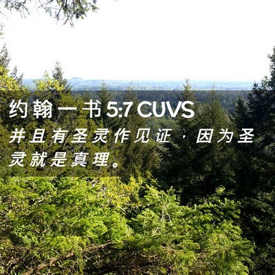 Picture 02 - 约 翰 一 书 5:7 CUVS - 并 且 有 圣 灵 作 见 证 ， 因 为 圣 - Bible Verse Picture