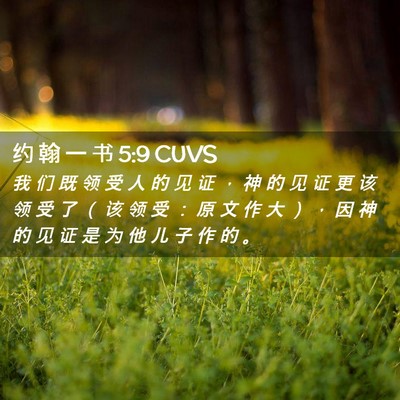 Picture 02 - 约 翰 一 书 5:9 CUVS - 我 们 既 领 受 人 的 见 证 ， 神 的 - Bible Verse Picture