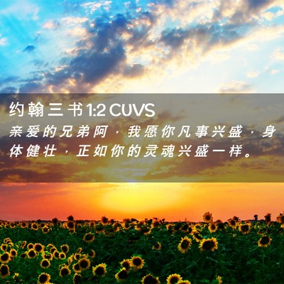Picture 02 - 约 翰 三 书 1:2 CUVS - 亲 爱 的 兄 弟 阿 ， 我 愿 你 凡 事 - Bible Verse Picture