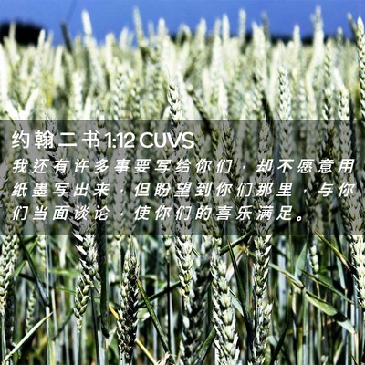 Picture 02 - 约 翰 二 书 1:12 CUVS - 我 还 有 许 多 事 要 写 给 你 们 ， - Bible Verse Picture