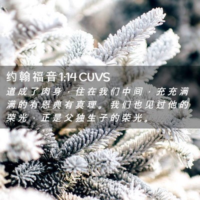 Picture 02 - 约 翰 福 音 1:14 CUVS - 道 成 了 肉 身 ， 住 在 我 们 中 间 - Bible Verse Picture