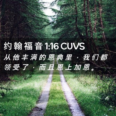 Picture 02 - 约 翰 福 音 1:16 CUVS - 从 他 丰 满 的 恩 典 里 ， 我 们 都 - Bible Verse Picture