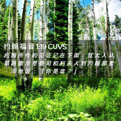 Picture 02 - 约 翰 福 音 1:19 CUVS - 约 翰 所 作 的 见 证 记 在 下 面 ： - Bible Verse Picture