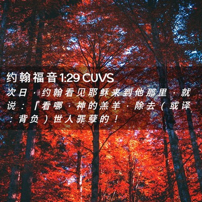 Picture 02 - 约 翰 福 音 1:29 CUVS - 次 日 ， 约 翰 看 见 耶 稣 来 到 他 - Bible Verse Picture