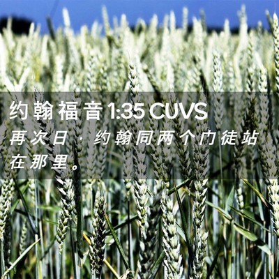 Picture 02 - 约 翰 福 音 1:35 CUVS - 再 次 日 ， 约 翰 同 两 个 门 徒 站 - Bible Verse Picture