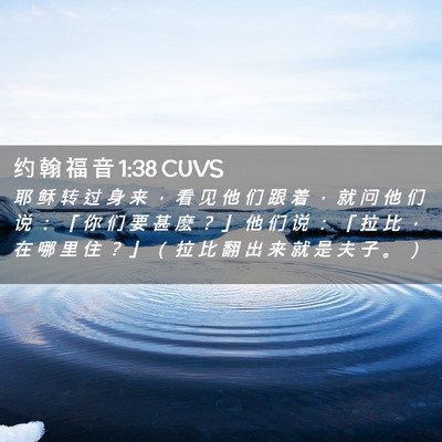 Picture 02 - 约 翰 福 音 1:38 CUVS - 耶 稣 转 过 身 来 ， 看 见 他 们 跟 - Bible Verse Picture