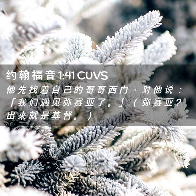 Picture 02 - 约 翰 福 音 1:41 CUVS - 他 先 找 着 自 己 的 哥 哥 西 门 ， - Bible Verse Picture