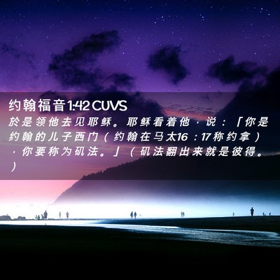 Picture 02 - 约 翰 福 音 1:42 CUVS - 於 是 领 他 去 见 耶 稣 。 耶 稣 看 - Bible Verse Picture