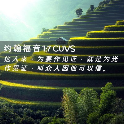 Picture 02 - 约 翰 福 音 1:7 CUVS - 这 人 来 ， 为 要 作 见 证 ， 就 是 - Bible Verse Picture