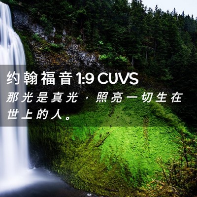 Picture 02 - 约 翰 福 音 1:9 CUVS - 那 光 是 真 光 ， 照 亮 一 切 生 在 - Bible Verse Picture