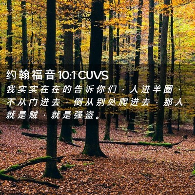 Picture 02 - 约 翰 福 音 10:1 CUVS - 我 实 实 在 在 的 告 诉 你 们 ， 人 - Bible Verse Picture