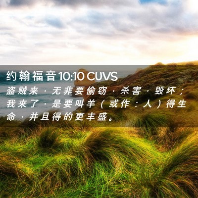 Picture 02 - 约 翰 福 音 10:10 CUVS - 盗 贼 来 ， 无 非 要 偷 窃 ， 杀 害 - Bible Verse Picture