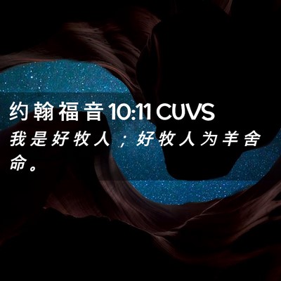 Picture 02 - 约 翰 福 音 10:11 CUVS - 我 是 好 牧 人 ； 好 牧 人 为 羊 舍 - Bible Verse Picture