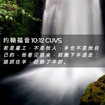 Picture 02 - 约 翰 福 音 10:12 CUVS - 若 是 雇 工 ， 不 是 牧 人 ， 羊 也 - Bible Verse Picture