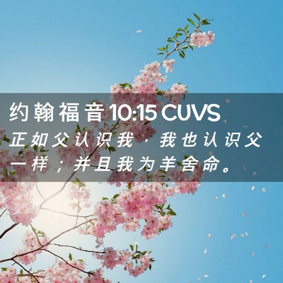 Picture 02 - 约 翰 福 音 10:15 CUVS - 正 如 父 认 识 我 ， 我 也 认 识 父 - Bible Verse Picture