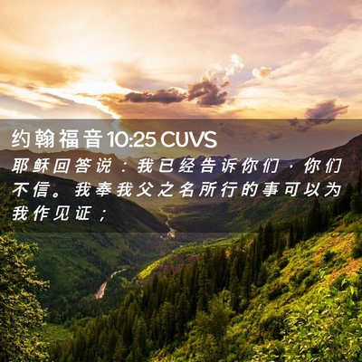 Picture 02 - 约 翰 福 音 10:25 CUVS - 耶 稣 回 答 说 ： 我 已 经 告 诉 你 - Bible Verse Picture