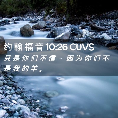 Picture 02 - 约 翰 福 音 10:26 CUVS - 只 是 你 们 不 信 ， 因 为 你 们 不 - Bible Verse Picture
